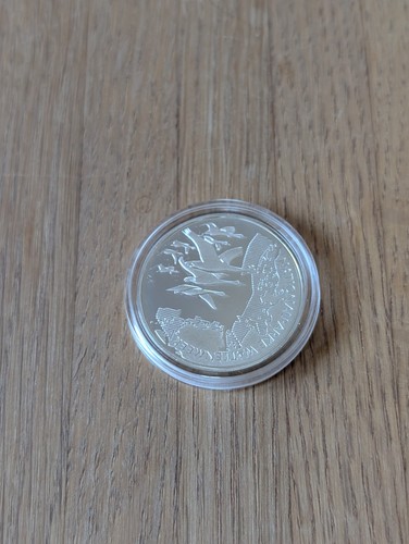Euro silber münze 2004 - münze,
